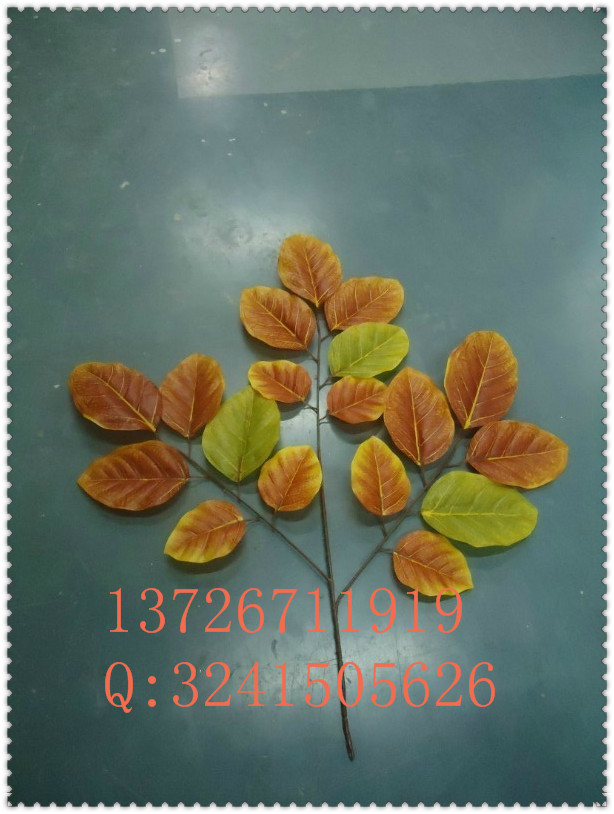 **出售仿真青果葉**仿真青果葉廠家大量供應(yīng)