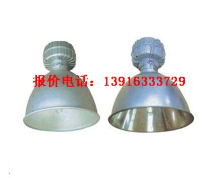 供應GC101 **防塵防震防眩燈 GC001 GC003