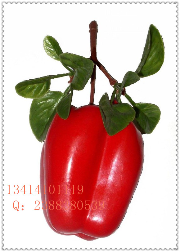 供應**定做仿真彩椒  卷心菜 規格款式自定 量大從優