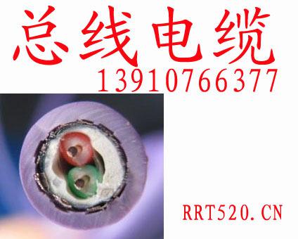 PROFIBUS北京現場總線電纜 PROFIBUSProfibus-DP電纜