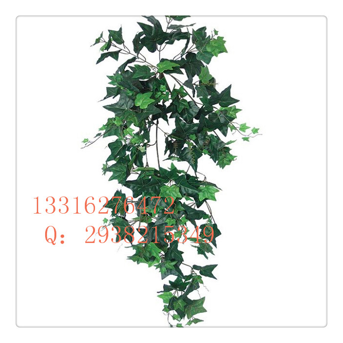仿真藩茨 大量** 時(shí)尚美觀 戶外藩茨