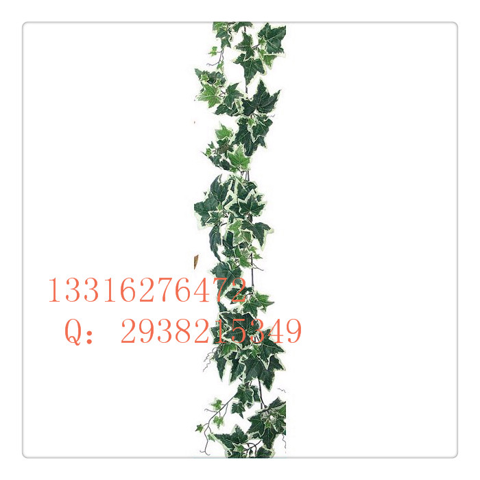 仿真藩茨 **園藝 實(shí)用** 影樓布置 假藩茨