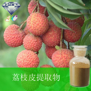 供應荔枝皮提取物紫色植物 營養豐富 **