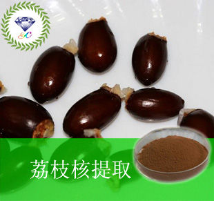 供應(yīng)荔枝核提取物 植物 營養(yǎng)豐富 **