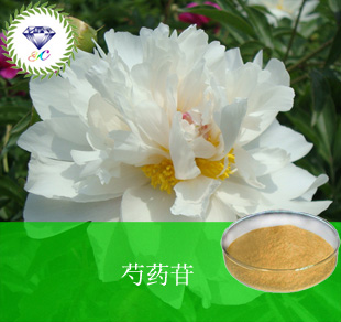 供應芍藥苷10% 植物提取物