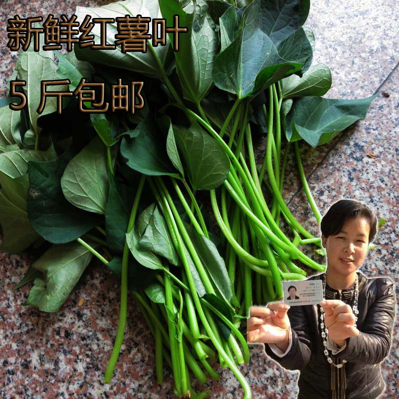 供應(yīng)白壤大紅芋、紅壤大紅薯,地瓜，番薯安徽特產(chǎn)1.2元1斤