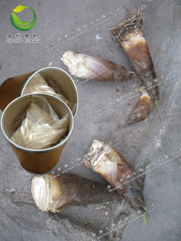 高含量標準品，科學研究**,可供大貨，雷公藤內酯酮