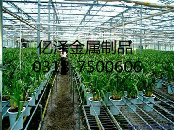 供應(yīng)**溫室移動(dòng)苗床
