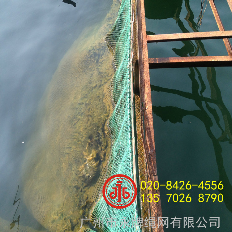 湛江海南江門惠州漁業養殖網箱PE尼龍圍網