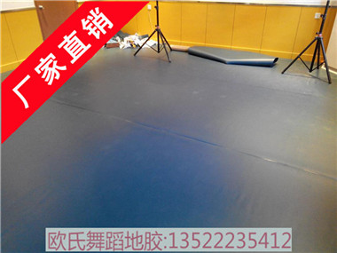 供應閩臺進口舞蹈地膠,高分子舞臺地膠