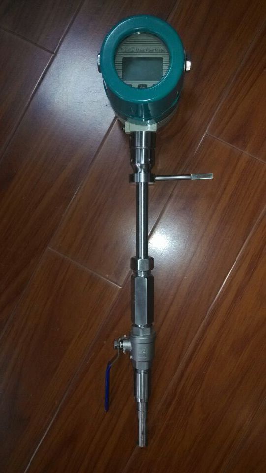供應美國LOSEN羅森SW熱式沼氣氣體質量流量計