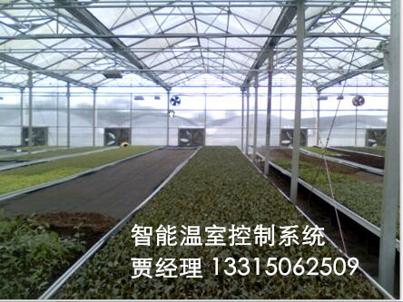 供應智能溫室控制系統(tǒng)