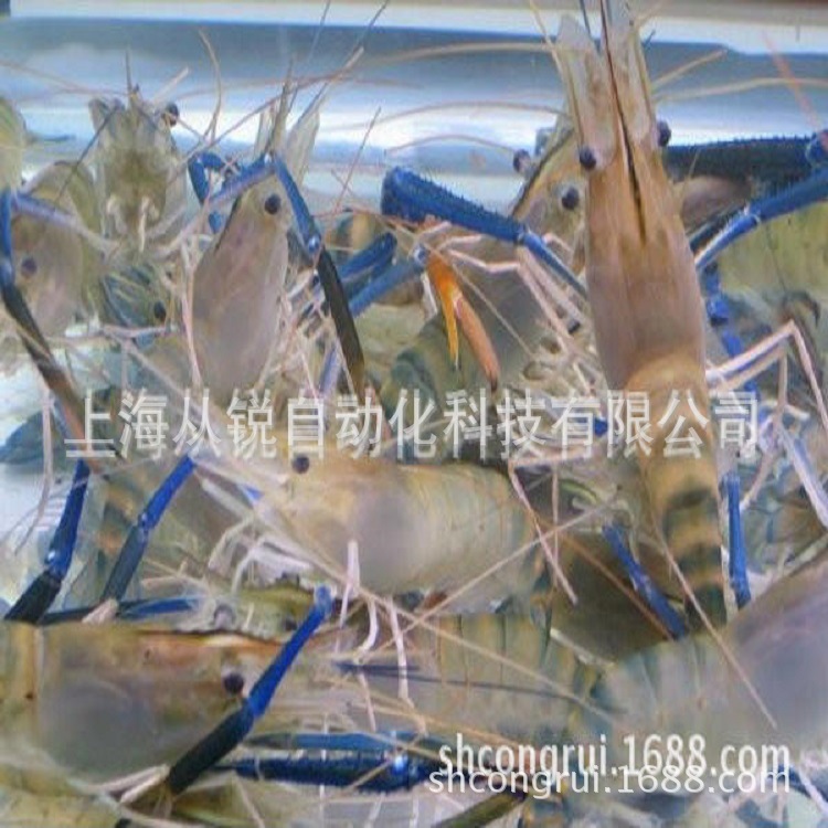 供應南*對蝦、羅氏沼蝦循環水養殖系統，自動控制系統集成