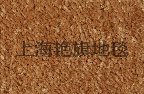 供應高密度圈絨地毯