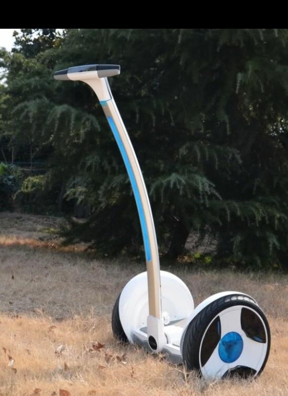 供應(yīng)Ninebot 9號(hào)機(jī)器人，個(gè)人休閑代步車，小區(qū)景區(qū)治安*電動(dòng)車，迷你平衡車，思維車，商家，會(huì)展廣告宣傳，樓盤接待