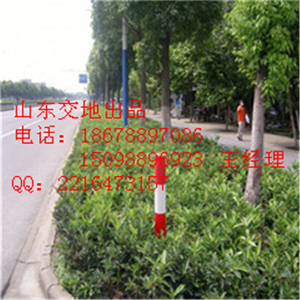 供應萊蕪路樁規格189678897086-萊蕪隔離柱**
