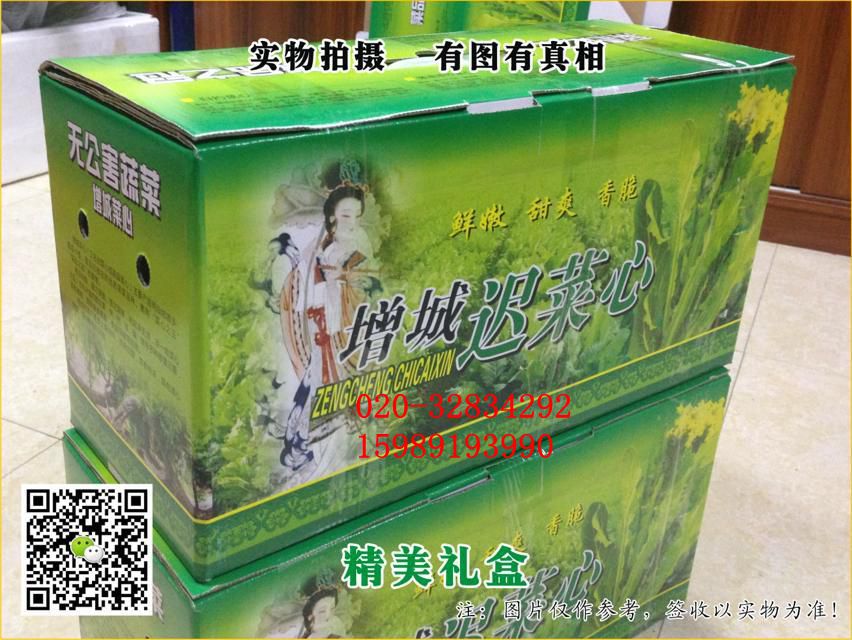 供應深圳增城遲菜心又名高腳菜心