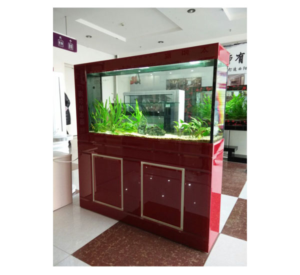 供應石家莊生態魚缸廠家