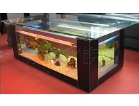 供應(yīng)生態(tài)茶幾魚缸型號廠家