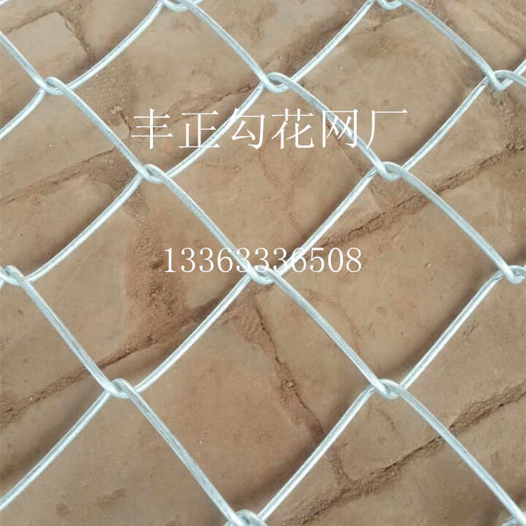 鍍鋅勾花網(wǎng) 菱形鐵絲網(wǎng) 養(yǎng)殖防護(hù)網(wǎng)