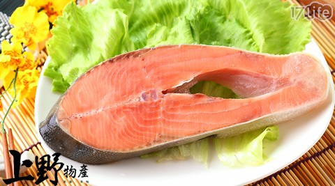 上海專業煙熏海鮮進口清關公司