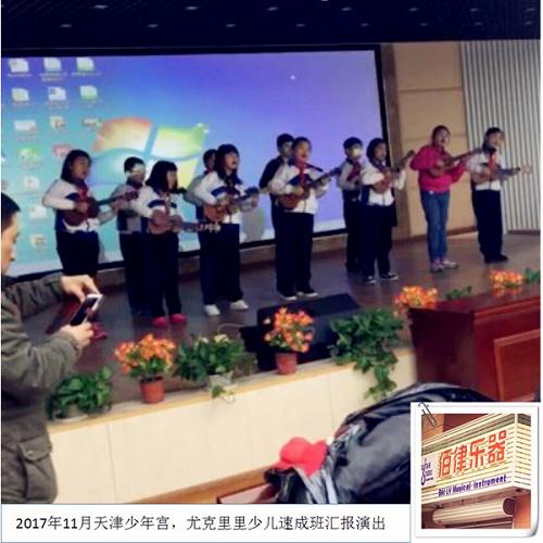 天津電子琴哪個牌子好_學習尤克里里_天津市南開區佰律樂器商行