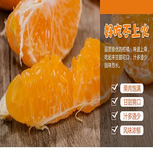 四川耙耙柑批發 正宗紅心蜜柚哪里買 四川金糖果香農業發展有限公司