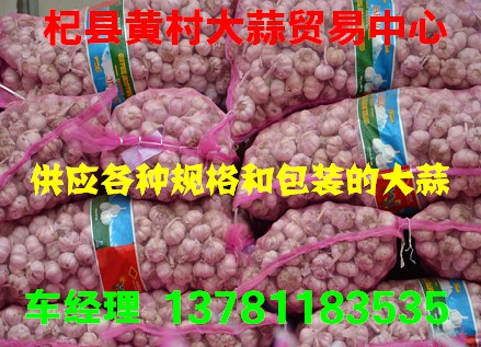 供應杞縣各種冷庫蒜.質量好