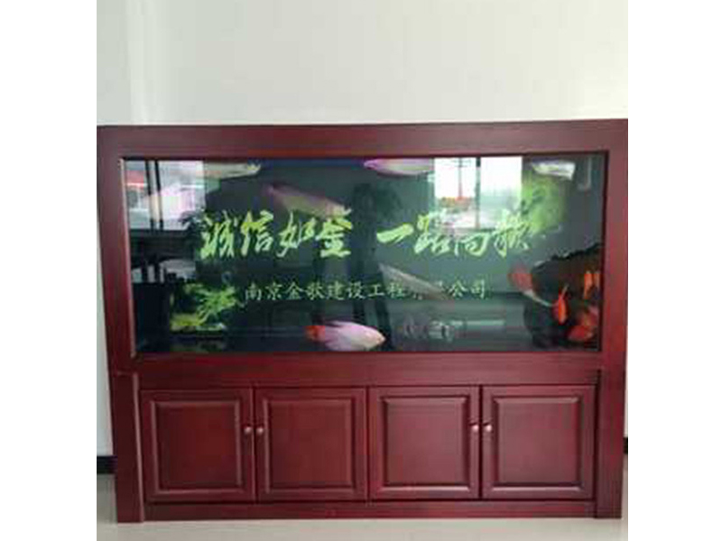受歡迎的魚缸維修當選龍鼎軒水族，魚缸過濾器維修