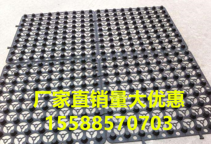 桐城2公分3公分4公分房頂樓頂車庫地下室**板底板排蓄水板施工質量驗收和綠化