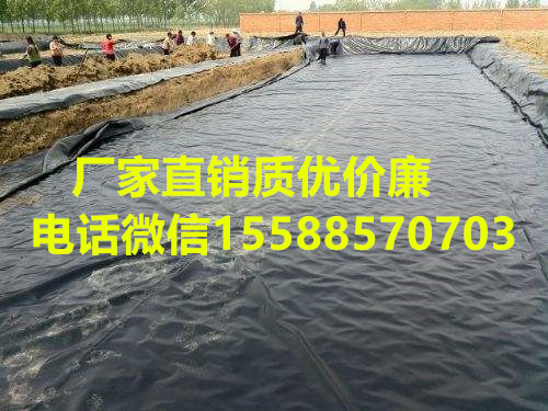 天長0.3mm藕池膜0.4mm藕灣0.5mm**防滲膜廠家**出售