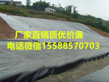 寧國0.5mm無紡土工布復合土工膜魚灣**防滲膜種用途