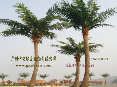 優惠的仿真海棗樹哪里有_仿真海棗樹廠家