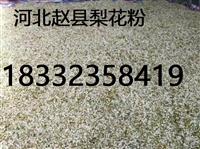 梨花粉 出口級(jí)別 **花粉 新鮮花蕊 正規(guī)公司 保質(zhì)保量