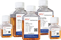 zeta life 進口胎牛血清廠家**價格