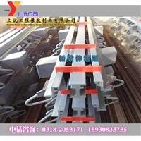 帶班U型環(huán)C型橋梁伸縮縫