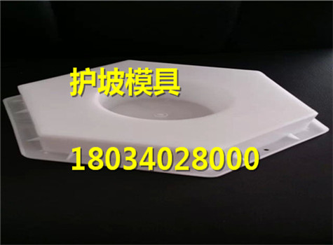 護坡磚塑料模具綠色環保