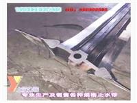 上沅鋼邊橡膠止水帶*** 