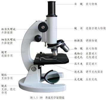 工業顯微鏡甩賣——[深圳市奧凱視科技]工業顯微鏡價格優惠