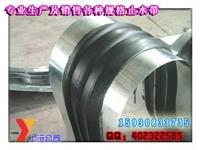 隧道**鋼邊橡膠止水帶價格