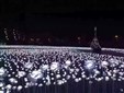 百萬玫瑰花海出租租賃