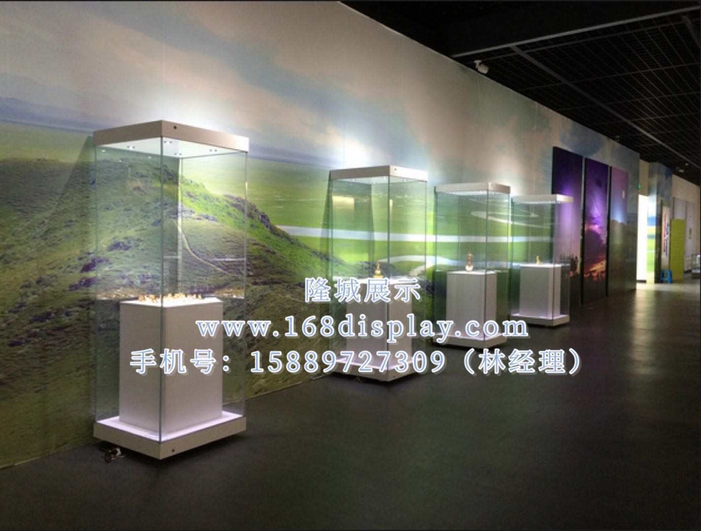 升降博物館文物展柜展覽館展示柜設計
