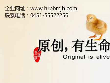 哈爾濱審計,黑龍江審計,黑龍江代理記賬,哈爾濱專項審計