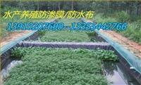 魚(yú)塘藕池養(yǎng)蝦**防滲膜土工布