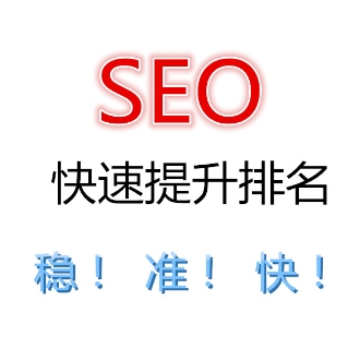 廣州SEO,中山SEO優化技巧,廣州勵贏計算機