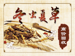 北京同仁堂冬蟲夏草回收13611114534**收購冬蟲夏草