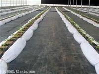 榆林大棚防草布90