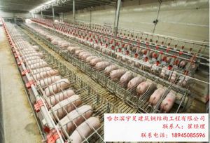 鋼結(jié)構(gòu)必選哈爾濱宇昊建筑-哈爾濱鋼結(jié)構(gòu)