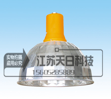 供應(yīng)GXGC1001塊板面節(jié)能廠房燈具