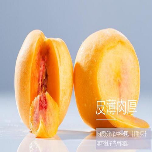 大果黃桃哪里有賣_成都蜜桔_成都宇昊電子商務有限公司